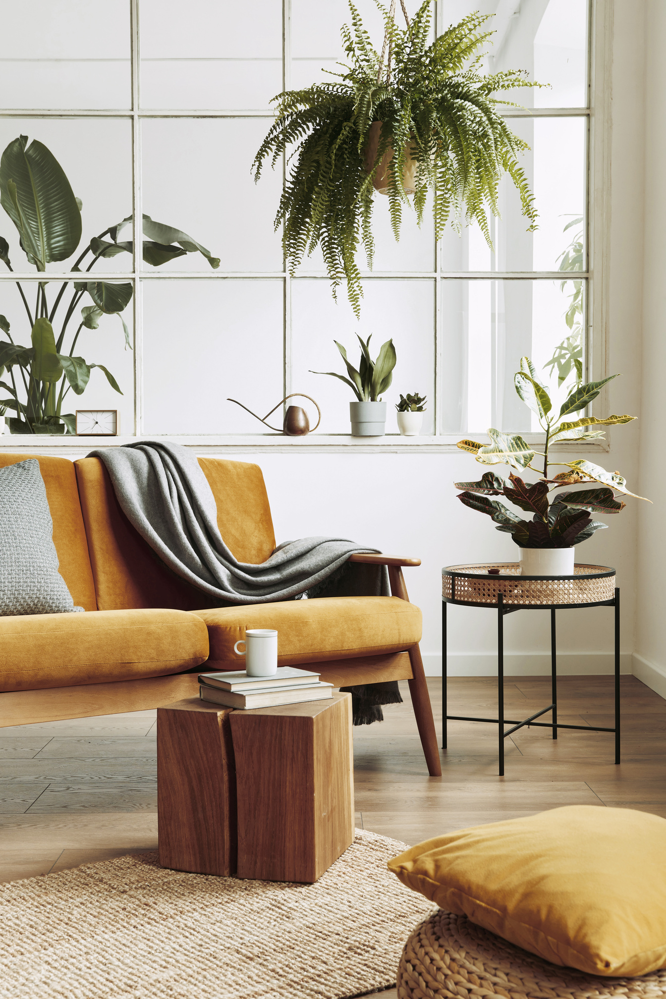Interior design of scandinavian open space with velvet sofa, plants, furniture, in stylish home staging. Template.